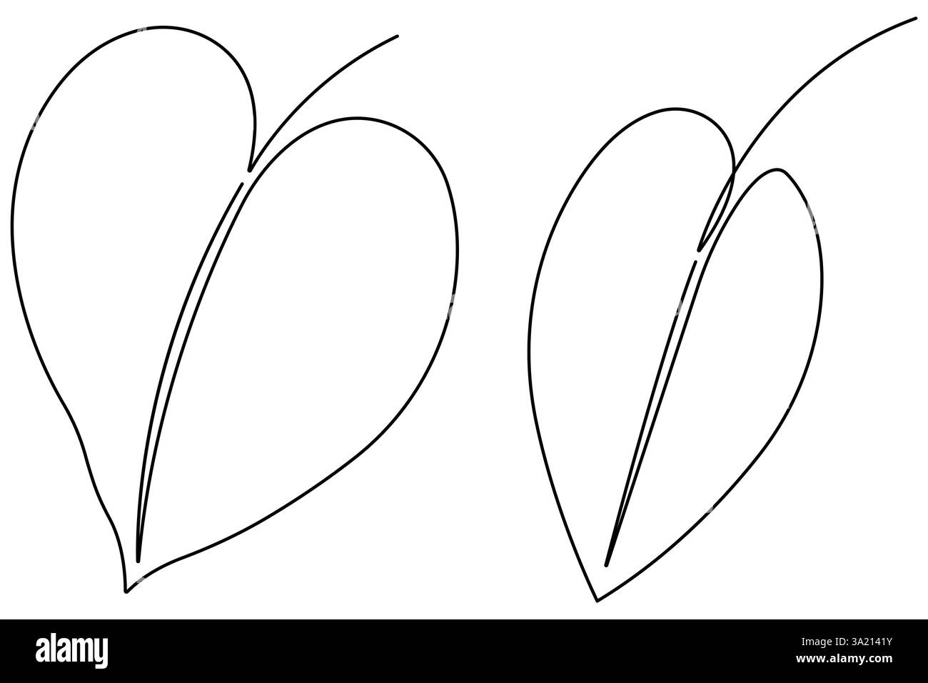 Illustrazione vettoriale, disegno continuo di una linea del design delle foglie di palma Illustrazione Vettoriale