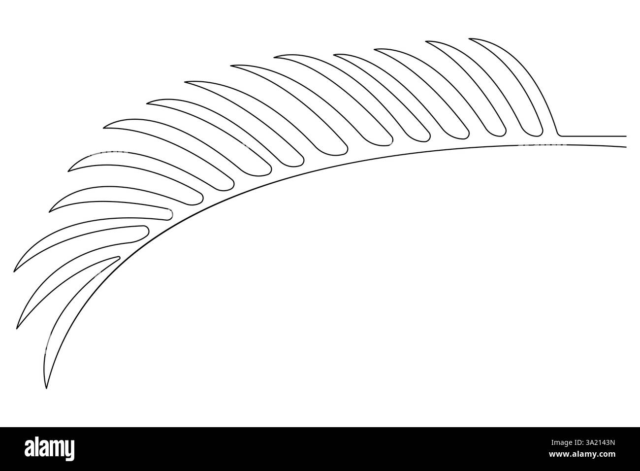 Illustrazione vettoriale, disegno continuo di una linea del design delle foglie di palma Illustrazione Vettoriale