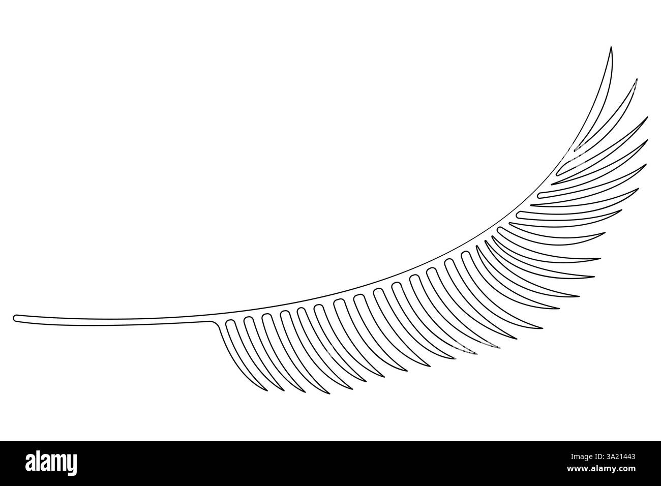 Illustrazione vettoriale, disegno continuo di una linea del design delle foglie di palma Illustrazione Vettoriale