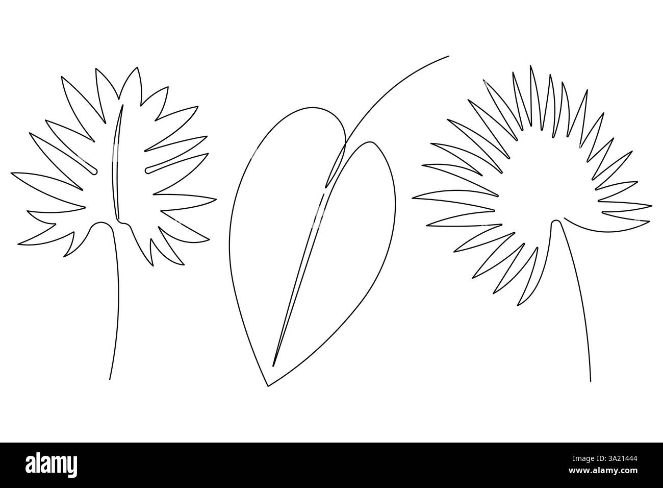 Illustrazione vettoriale, disegno continuo di una linea del design delle foglie di palma Illustrazione Vettoriale