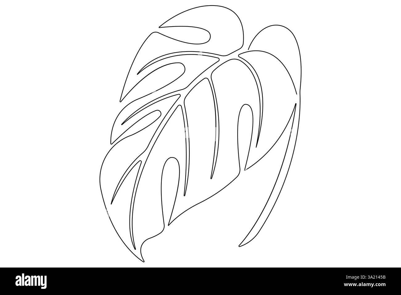 Illustrazione vettoriale, disegno continuo di una linea del design delle foglie di palma Illustrazione Vettoriale