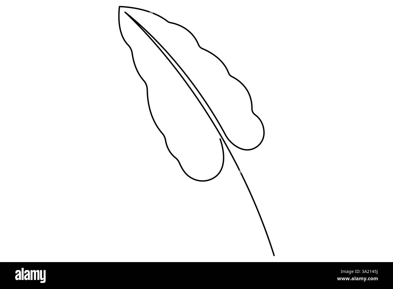 Illustrazione vettoriale, disegno continuo di una linea del design delle foglie di palma Illustrazione Vettoriale