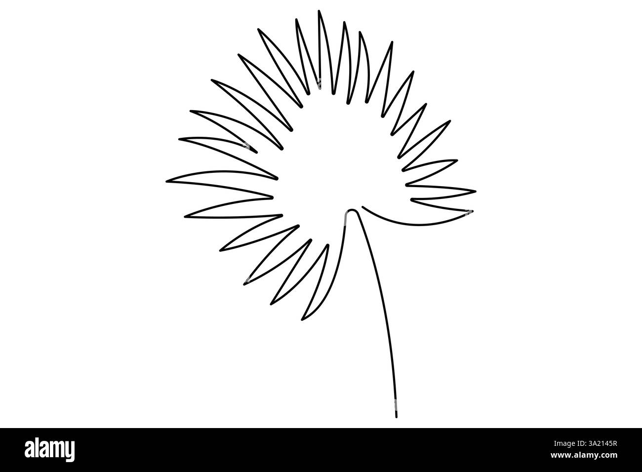 Illustrazione vettoriale, disegno continuo di una linea del design delle foglie di palma Illustrazione Vettoriale