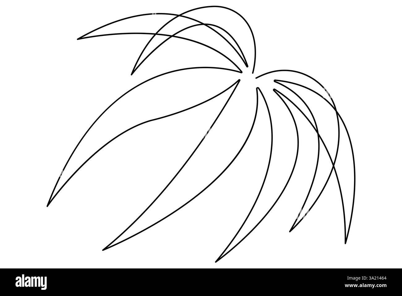 Illustrazione vettoriale, disegno continuo di una linea del design delle foglie di palma Illustrazione Vettoriale