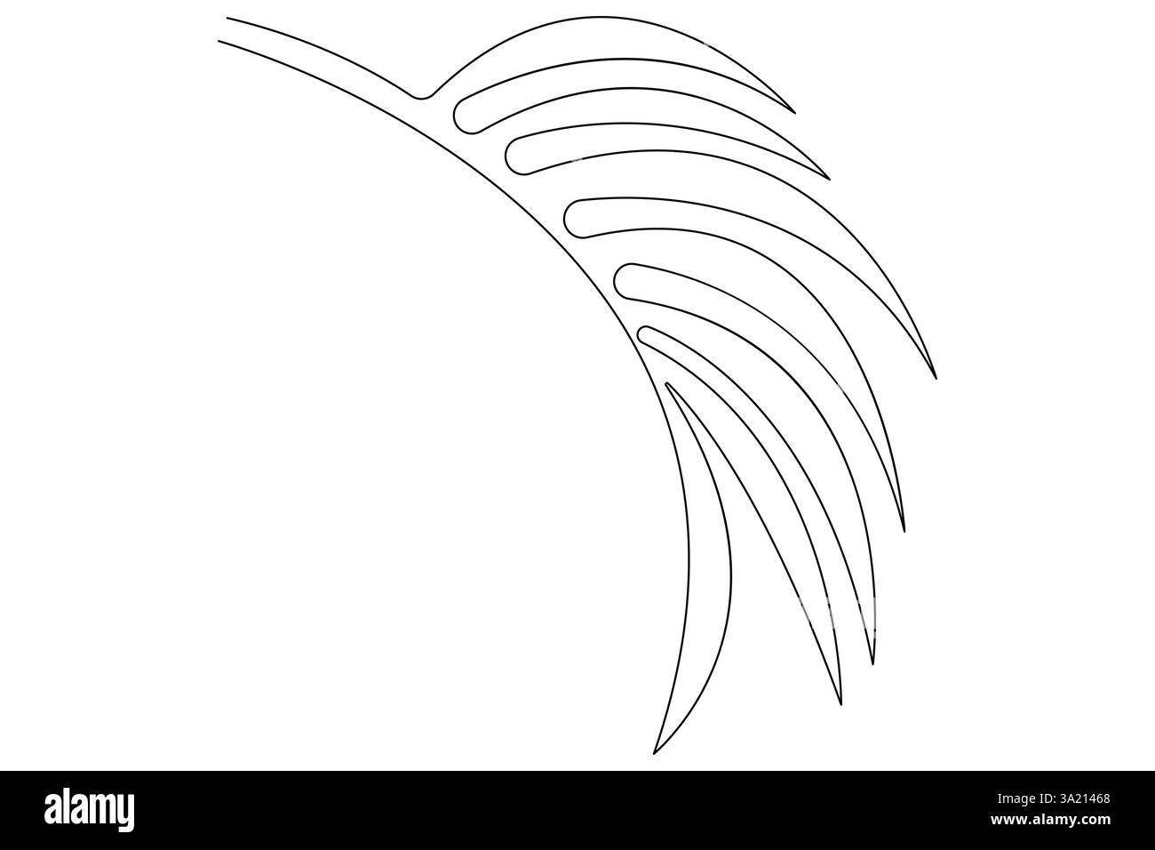 Illustrazione vettoriale, disegno continuo di una linea del design delle foglie di palma Illustrazione Vettoriale