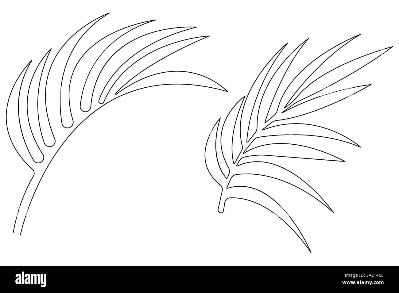 Illustrazione vettoriale, disegno continuo di una linea del design delle foglie di palma Illustrazione Vettoriale