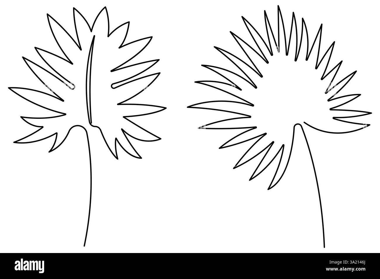 Illustrazione vettoriale, disegno continuo di una linea del design delle foglie di palma Illustrazione Vettoriale