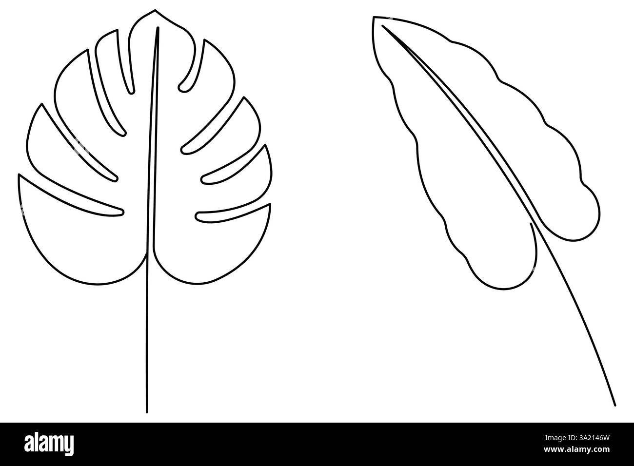 Illustrazione vettoriale, disegno continuo di una linea del design delle foglie di palma Illustrazione Vettoriale
