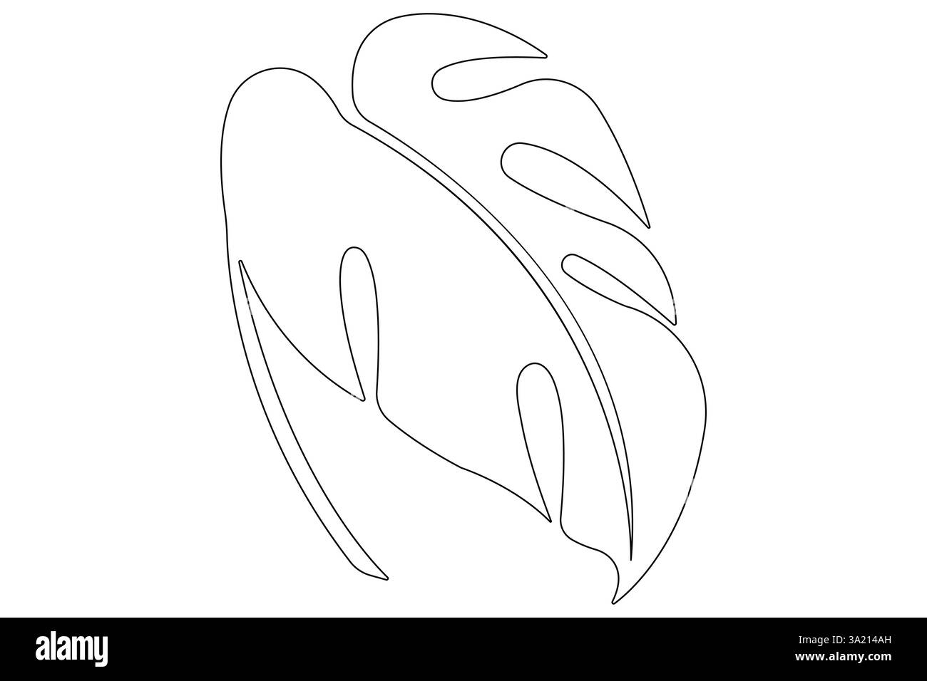 Illustrazione vettoriale, disegno continuo di una linea del design delle foglie di palma Illustrazione Vettoriale