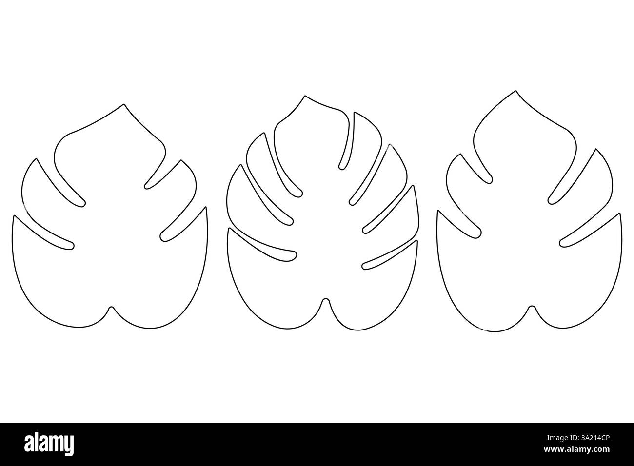 Illustrazione vettoriale, disegno continuo di una linea del design delle foglie di palma Illustrazione Vettoriale