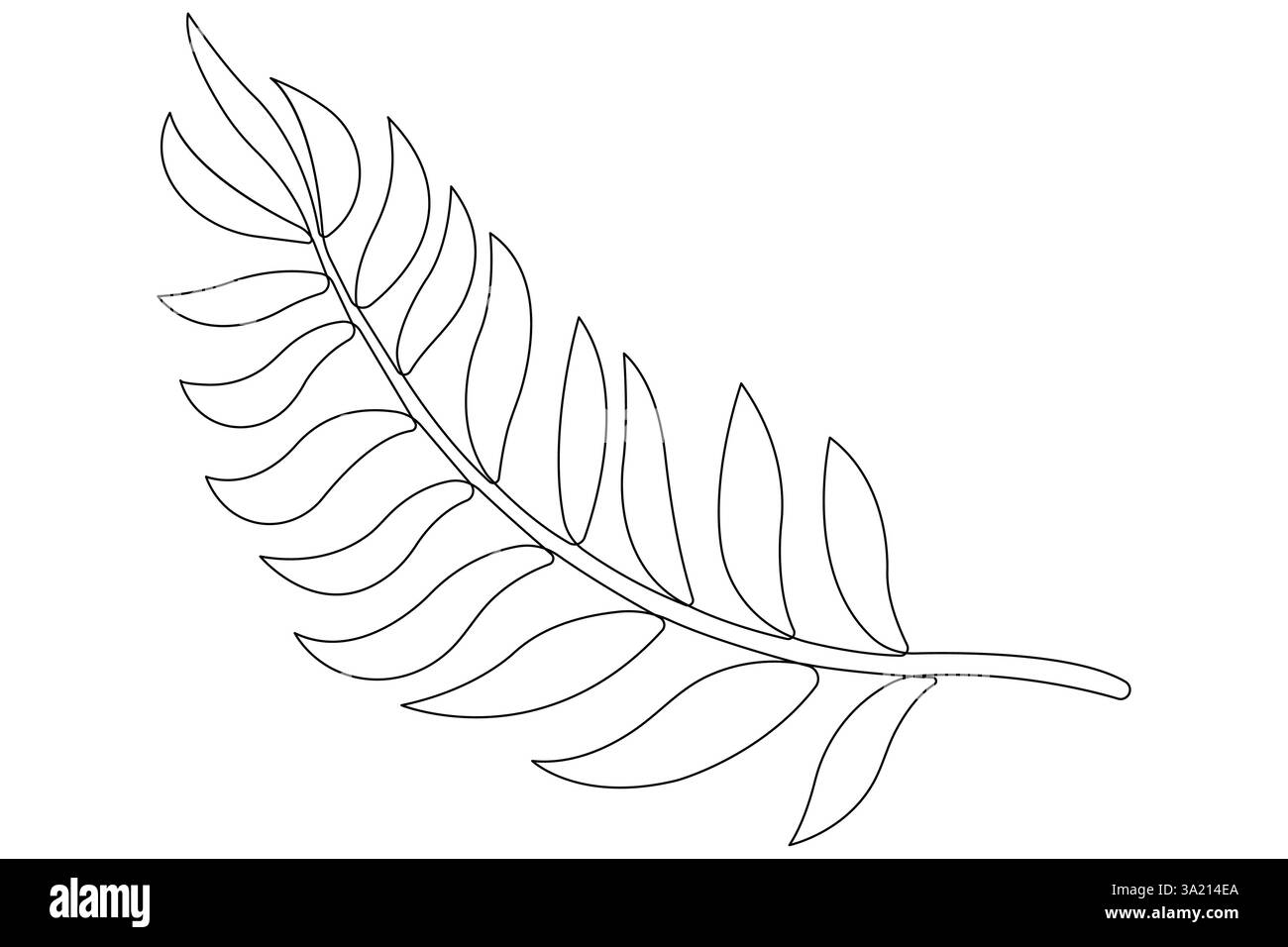 Illustrazione vettoriale, disegno continuo di una linea del design delle foglie di palma Illustrazione Vettoriale