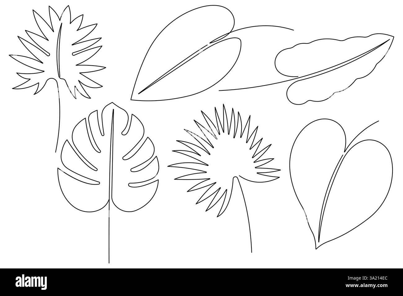 Illustrazione vettoriale, disegno continuo di una linea del design delle foglie di palma Illustrazione Vettoriale