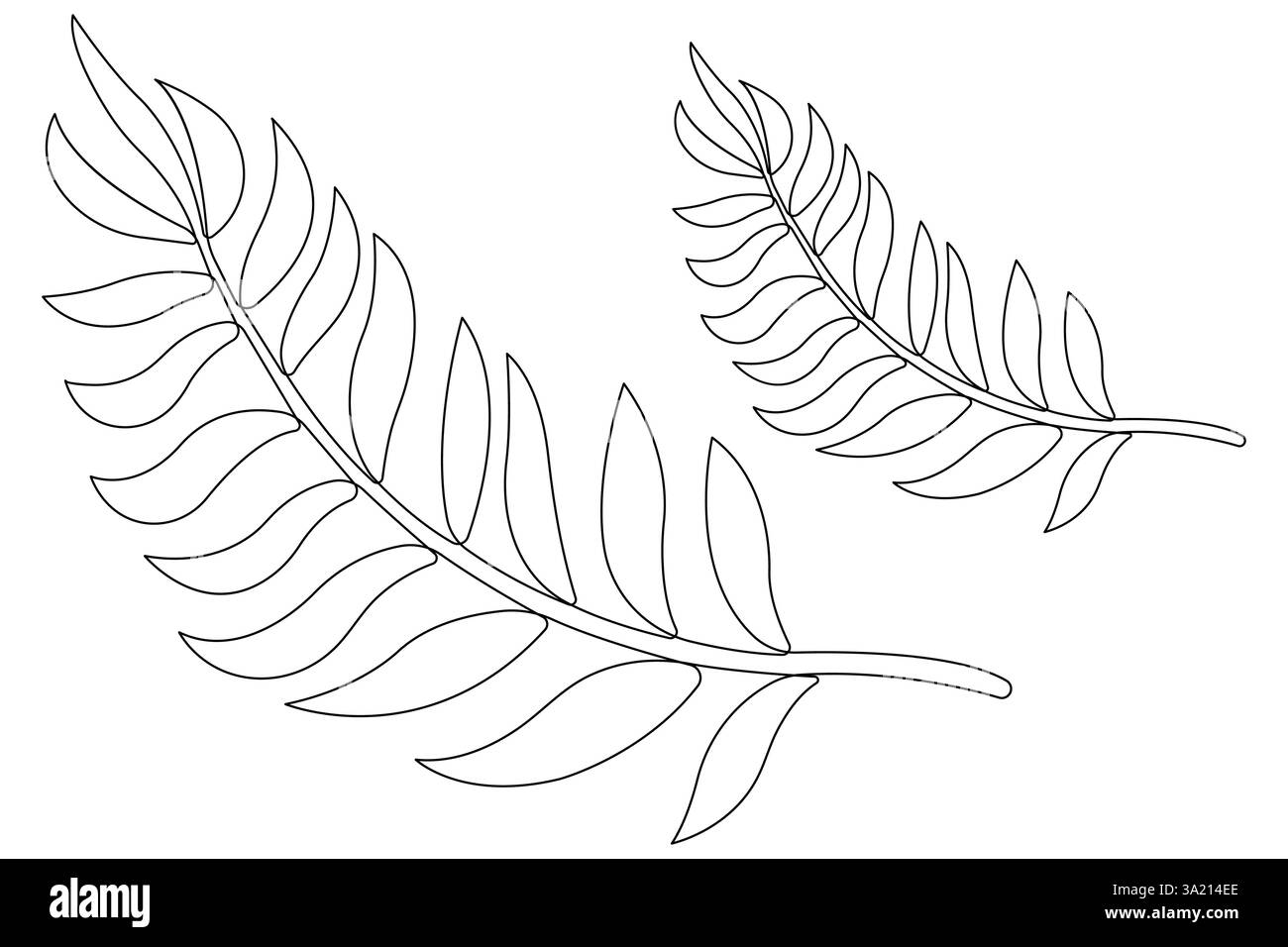 Illustrazione vettoriale, disegno continuo di una linea del design delle foglie di palma Illustrazione Vettoriale