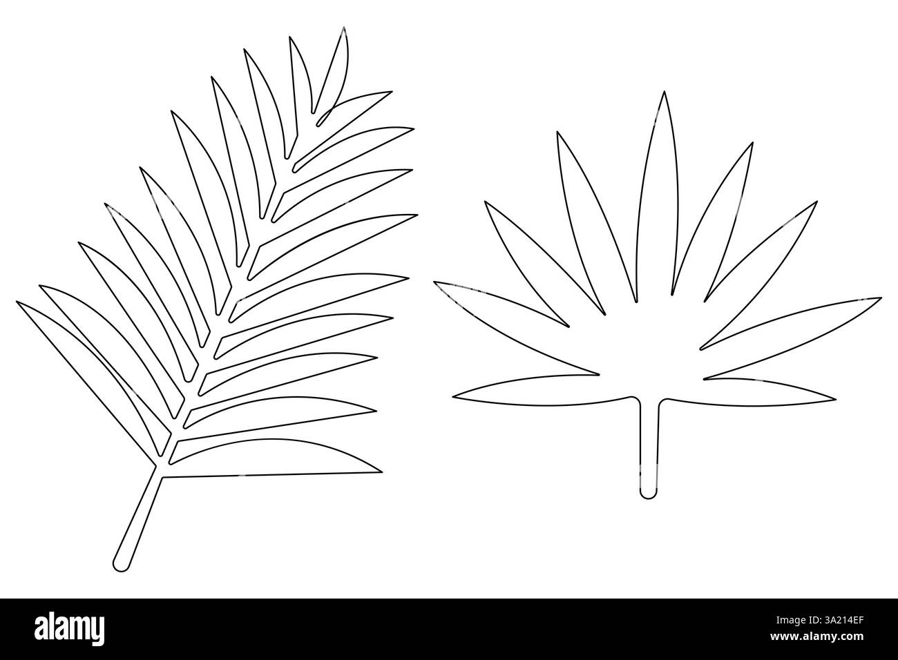 Illustrazione vettoriale, disegno continuo di una linea del design delle foglie di palma Illustrazione Vettoriale