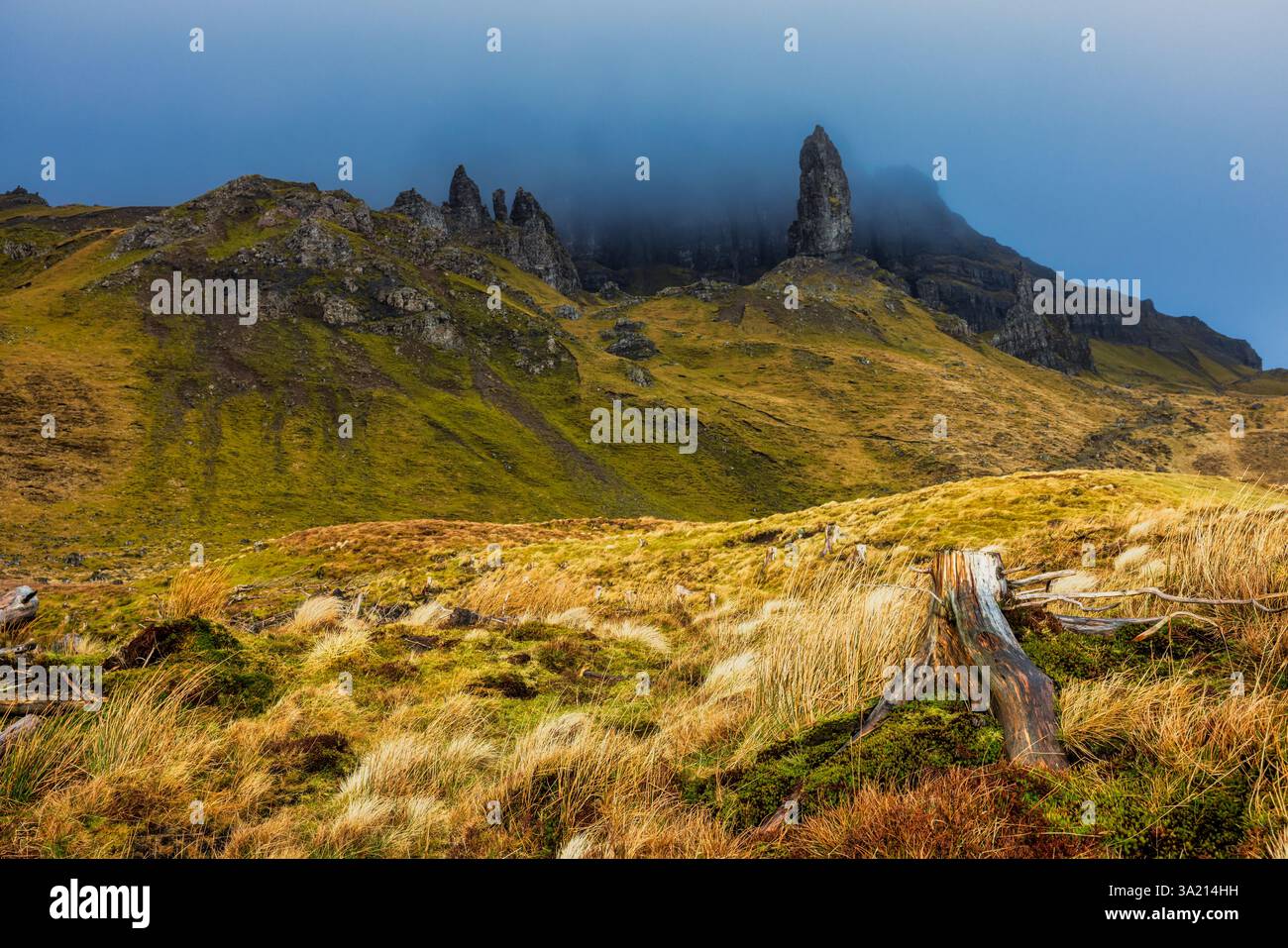 Il vecchio uomo di Storr, Isola di Skye, Scotland, Regno Unito Foto Stock