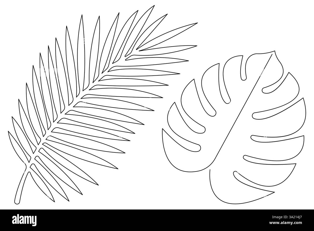 Illustrazione vettoriale, disegno continuo di una linea del design delle foglie di palma Illustrazione Vettoriale