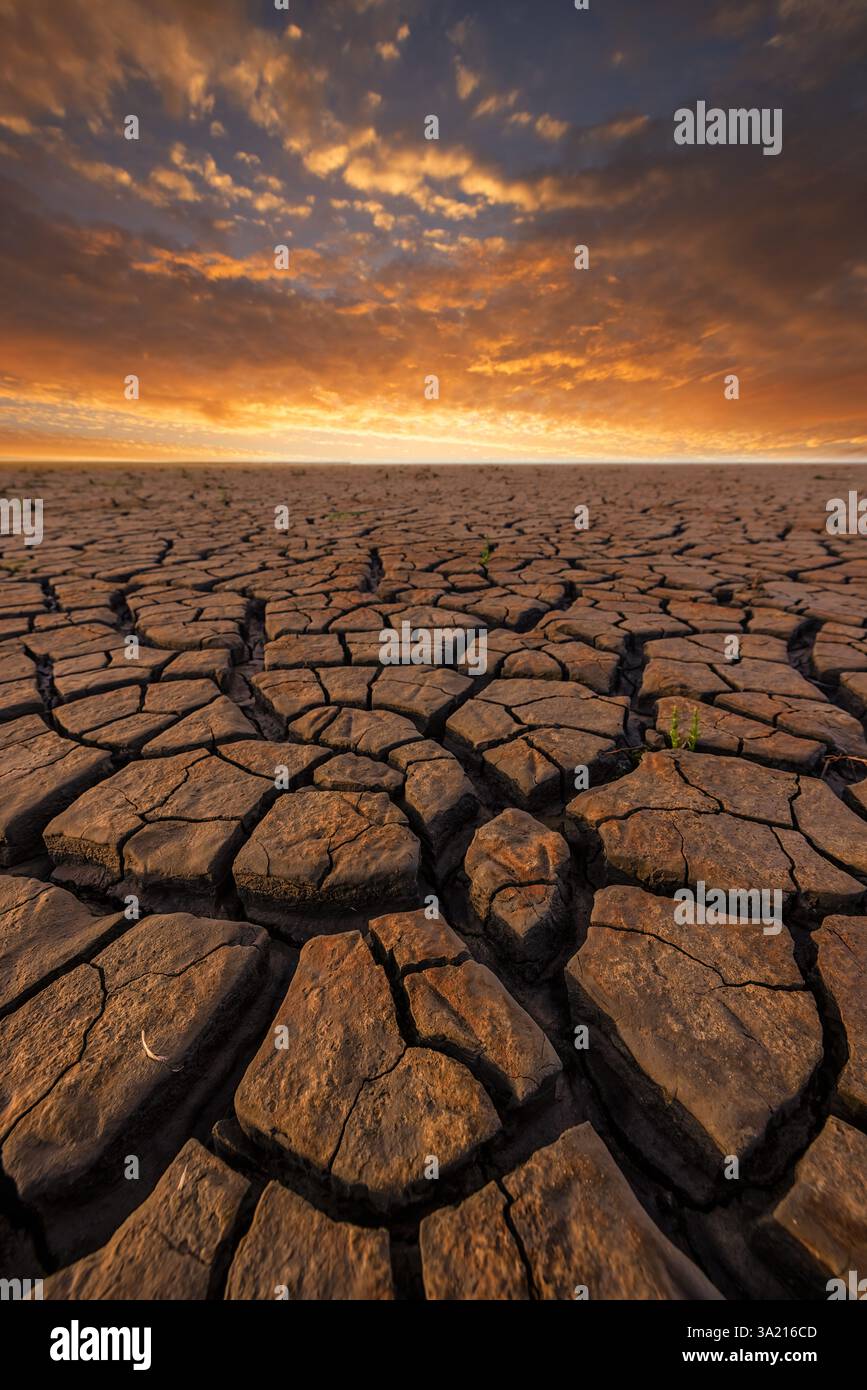 Siccità dovuta ai cambiamenti climatici, al riscaldamento globale e alla deforestazione a causa dei gas serra e delle temperature più elevate Foto Stock Siccità dovuta ai cambiamenti climatici, al riscaldamento globale e alla deforestazione a causa dei gas serra e delle temperature più elevate Foto Stock