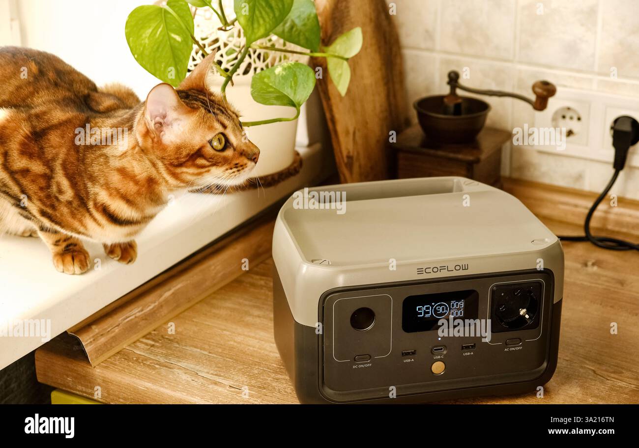 Leopoli, Ucraina, marzo 2024, la centrale elettrica portatile EcoFlow con display digitale e cavo collegato si trova sul davanzale accanto a un gatto del Bengala e. Foto Stock