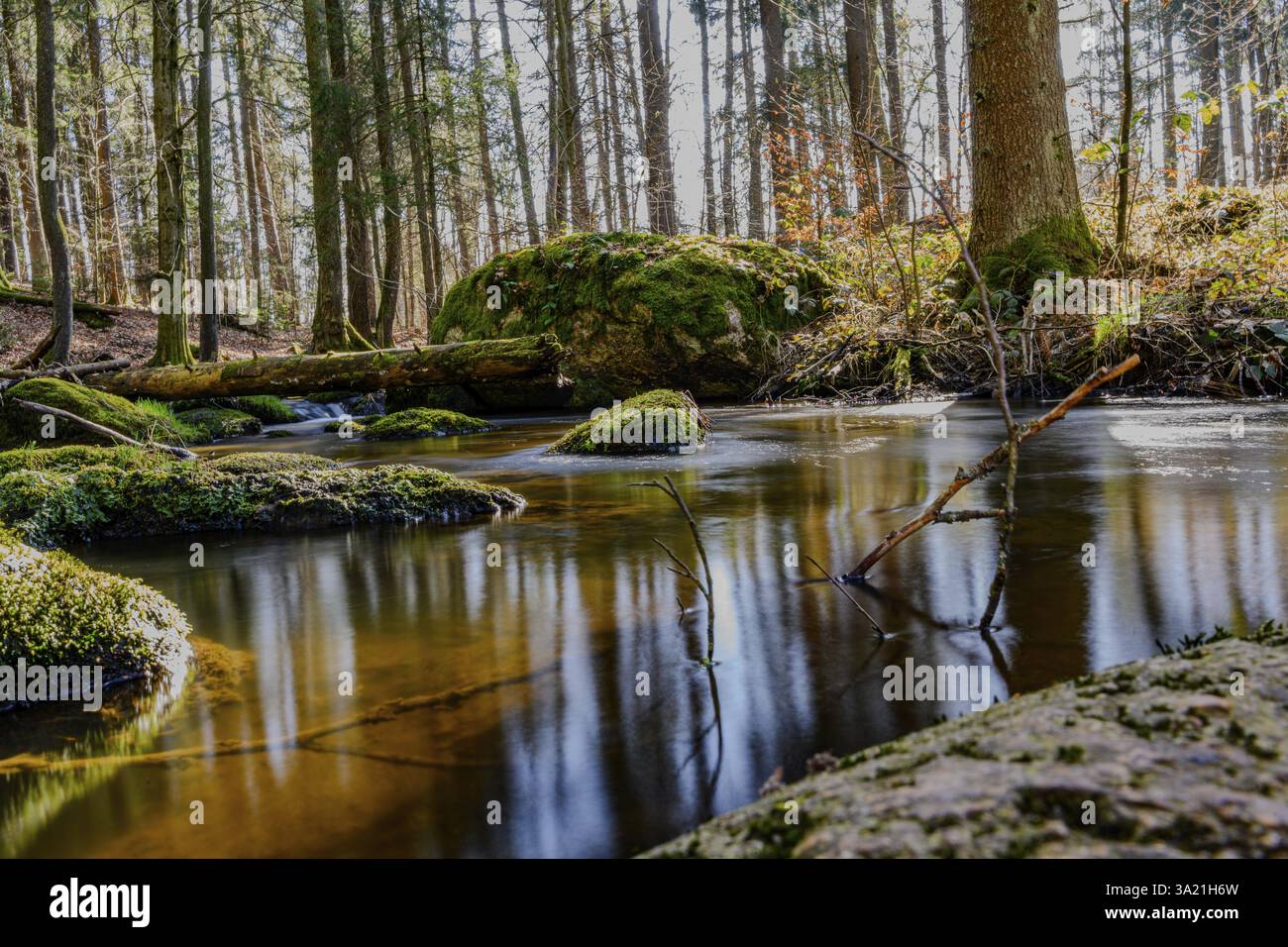 Un torrente scorre tranquillamente attraverso pietre coperte di muschio in una zona densamente boscosa, Hoellbachtal, alto Palatinato Foto Stock