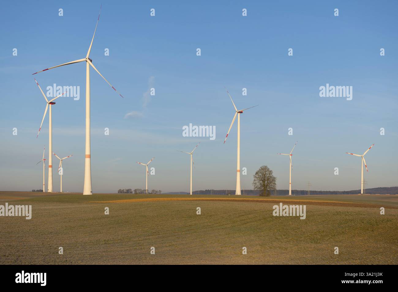 Turbine eoliche in un paesaggio aperto con cielo limpido dietro una fila di alberi, parco solare, nei pressi di Ulma, Alb svevo, Baden-Wuerttemberg, Germania, Europa Foto Stock