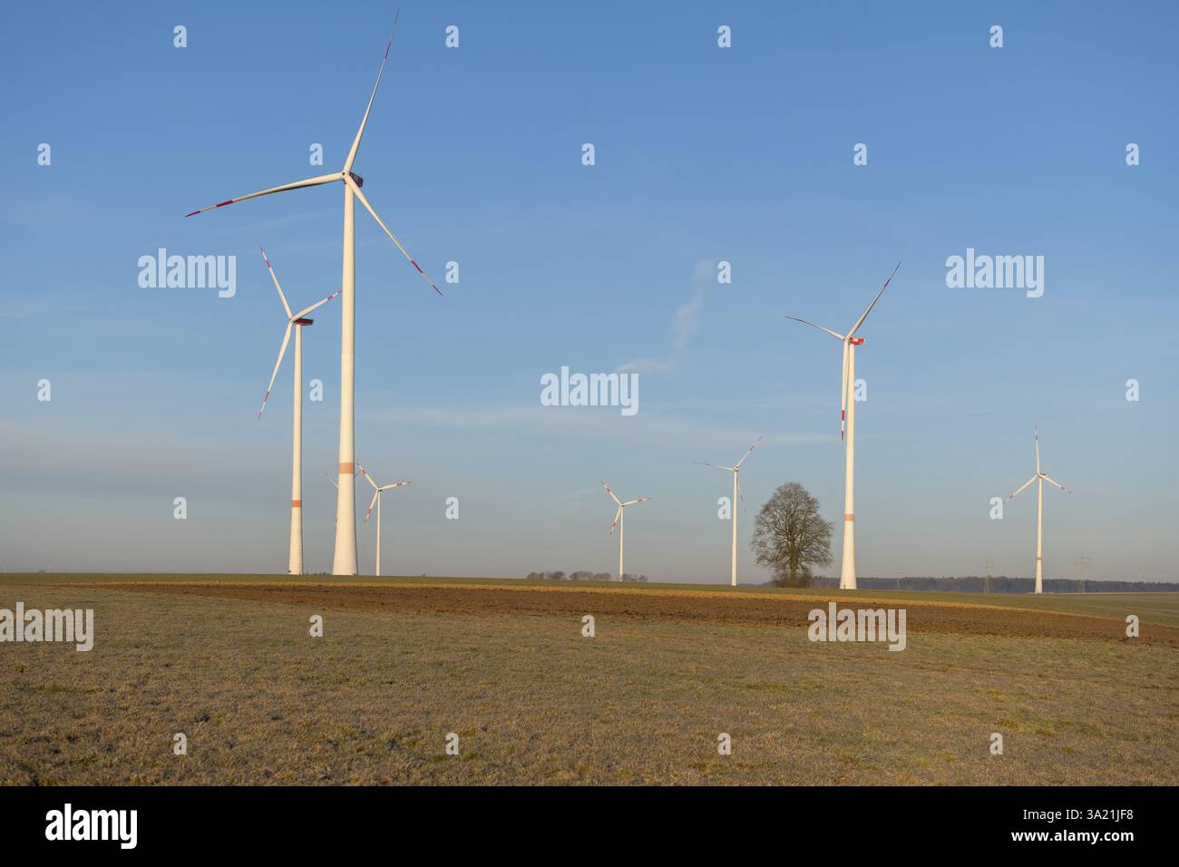 Turbine eoliche in un campo sotto un cielo azzurro, paesaggio tranquillo ed energia rinnovabile, parco solare, nei pressi di Ulma, Alb sveva, Baden-Wuerttemberg, Germania, UE Foto Stock Turbine eoliche in un campo sotto un cielo azzurro, paesaggio tranquillo ed energia rinnovabile, parco solare, nei pressi di Ulma, Alb sveva, Baden-Wuerttemberg, Germania, UE Foto Stock