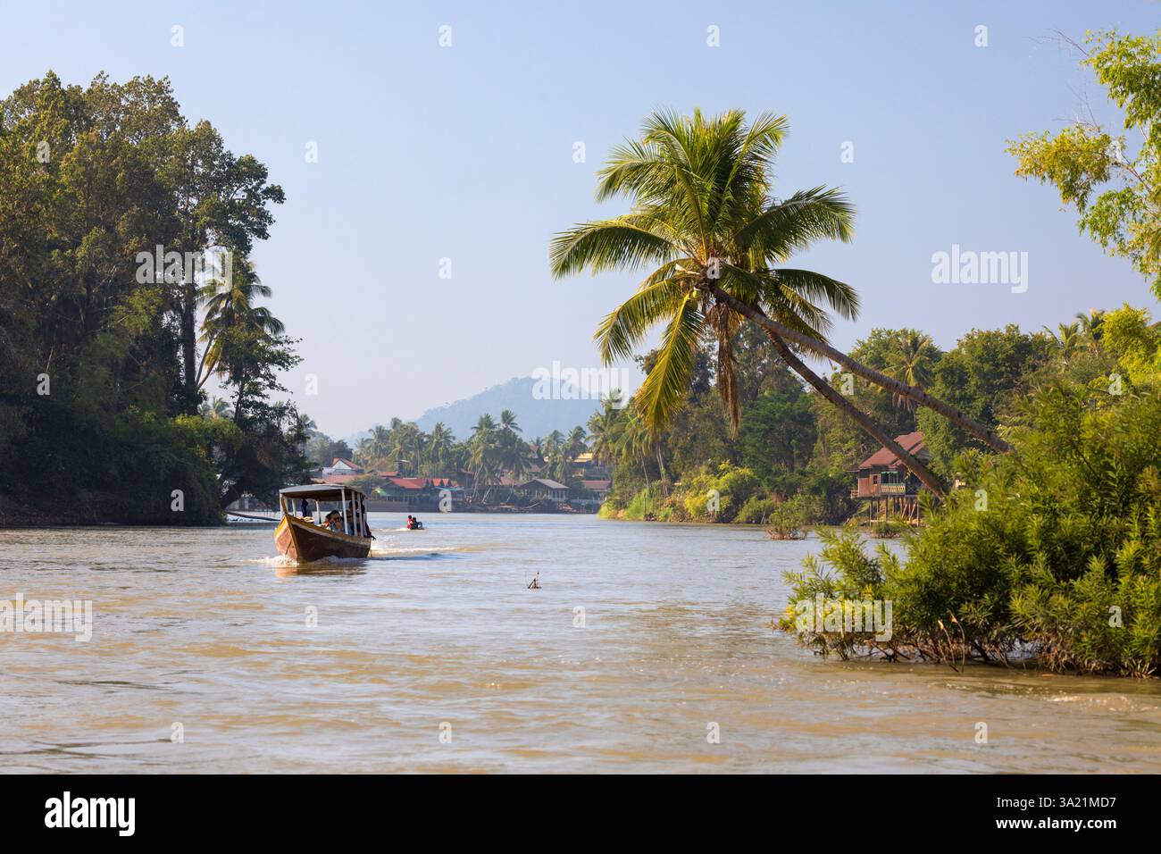 Tuffati tra le palme sul fiume Mekong con le isole Don Khon e Don Det nell'arcipelago delle Four Thousand Island, nella provincia di Champasak, Laos Foto Stock