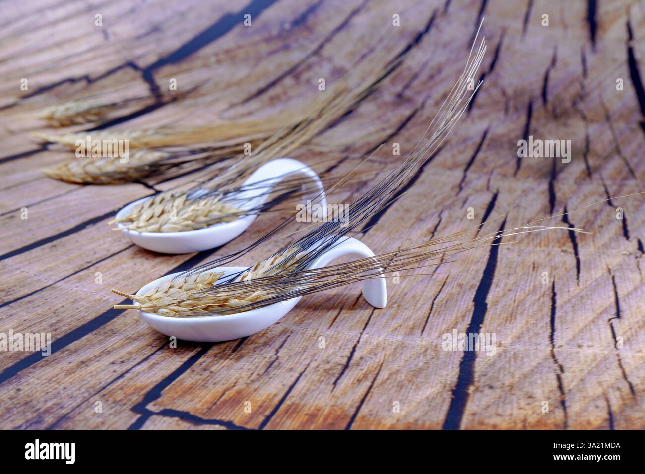 Cucchiai in ceramica bianca con orecchie di grano su fondo in legno Foto Stock