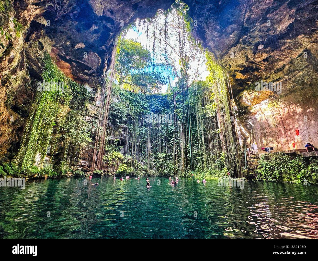 Cenote Ik Kil , una popolare caverna calcarea naturale con una profonda piscina naturale di acqua dolce e un tetto aperto con radici di alberi, Chichen Itza, Messico Foto Stock