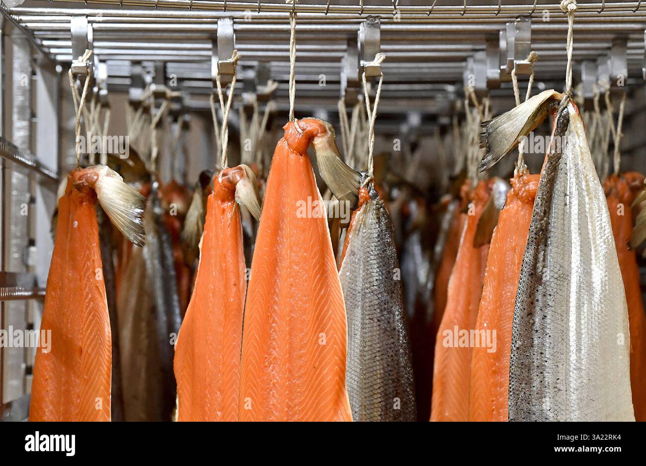 Le Portel (Francia settentrionale): Affumicatoio di Marcel Baey, trota e salmone Foto Stock