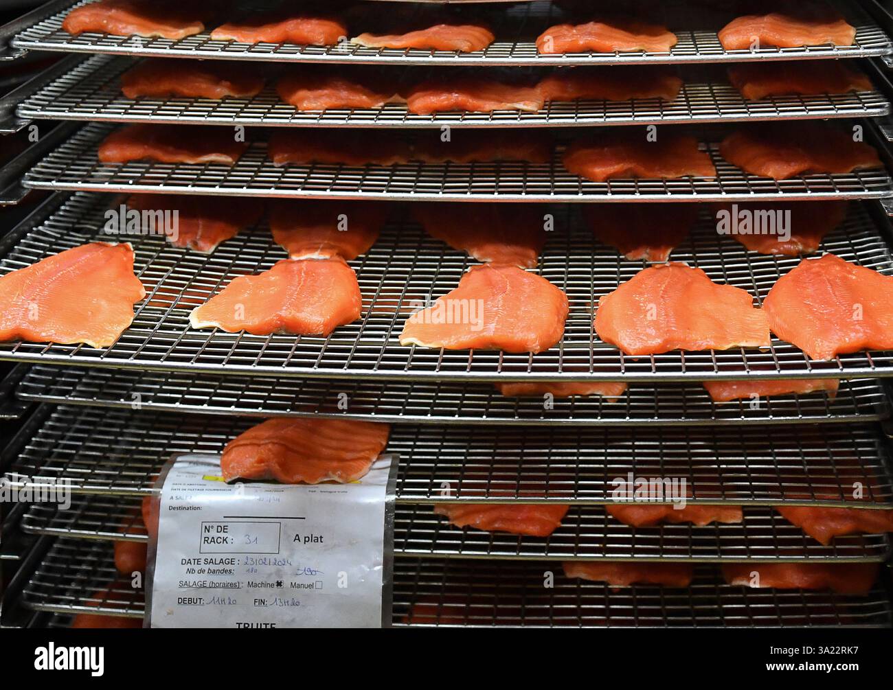 Le Portel (Francia settentrionale): Affumicatoio di Marcel Baey, trota e salmone Foto Stock