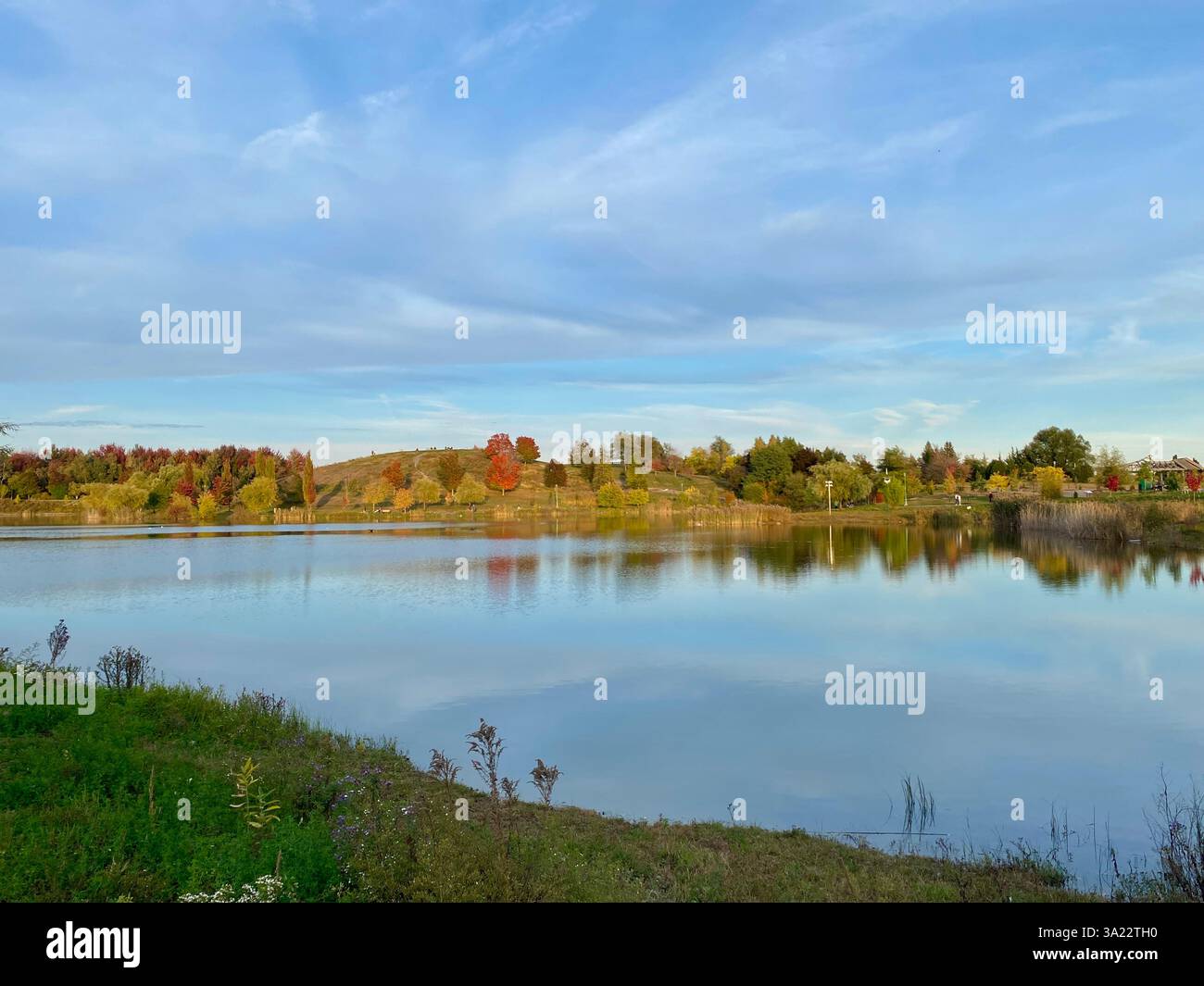 Una splendida scena estiva in un tranquillo parco caratterizzato da un piccolo lago circondato da una vegetazione lussureggiante. I caldi raggi dorati del sole splendono attraverso gli alberi - Immagine stock catturata con smartphone