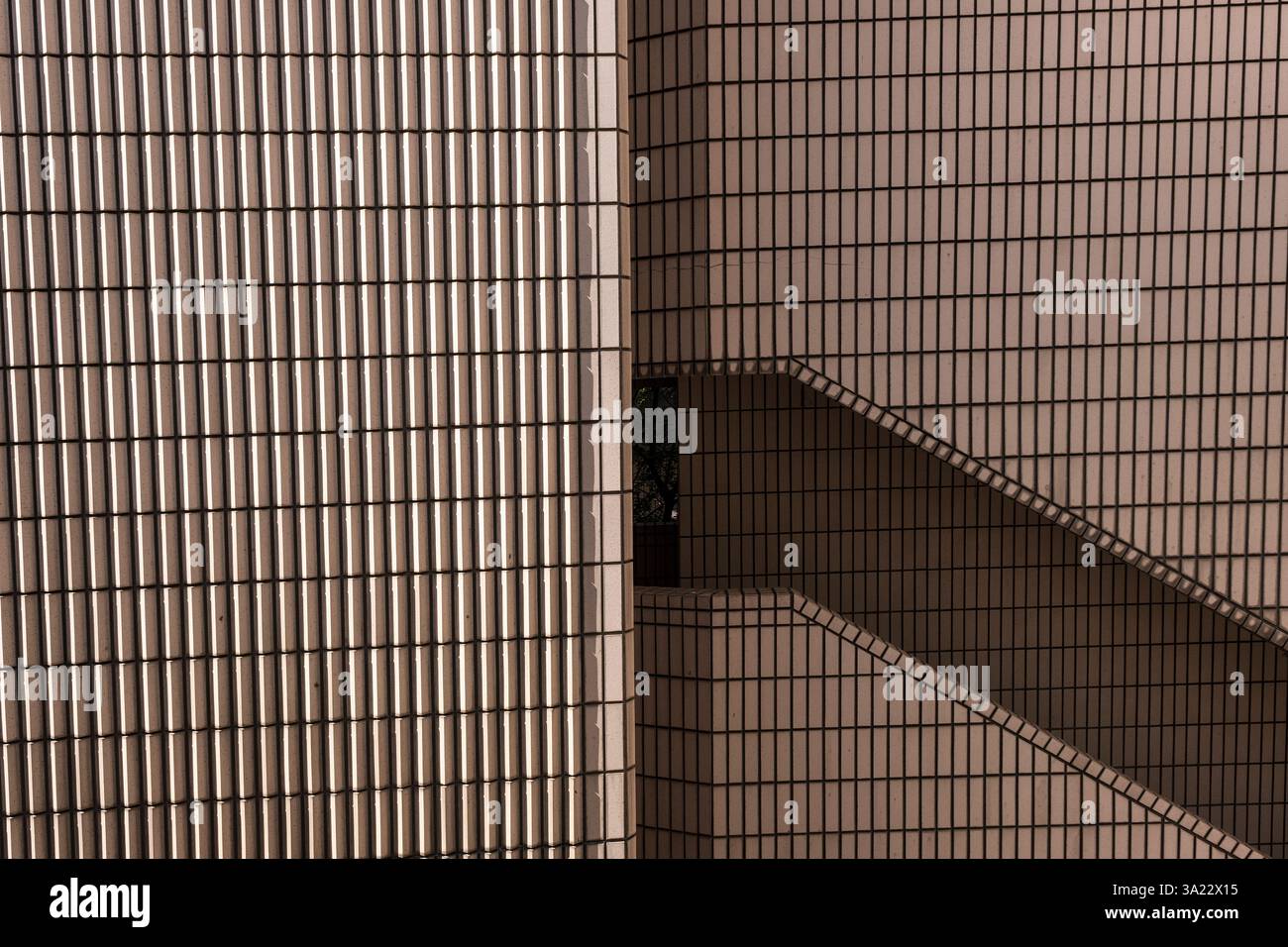 Architettura e Museo d'Arte di Hong Kong, Cina, Asia Foto Stock