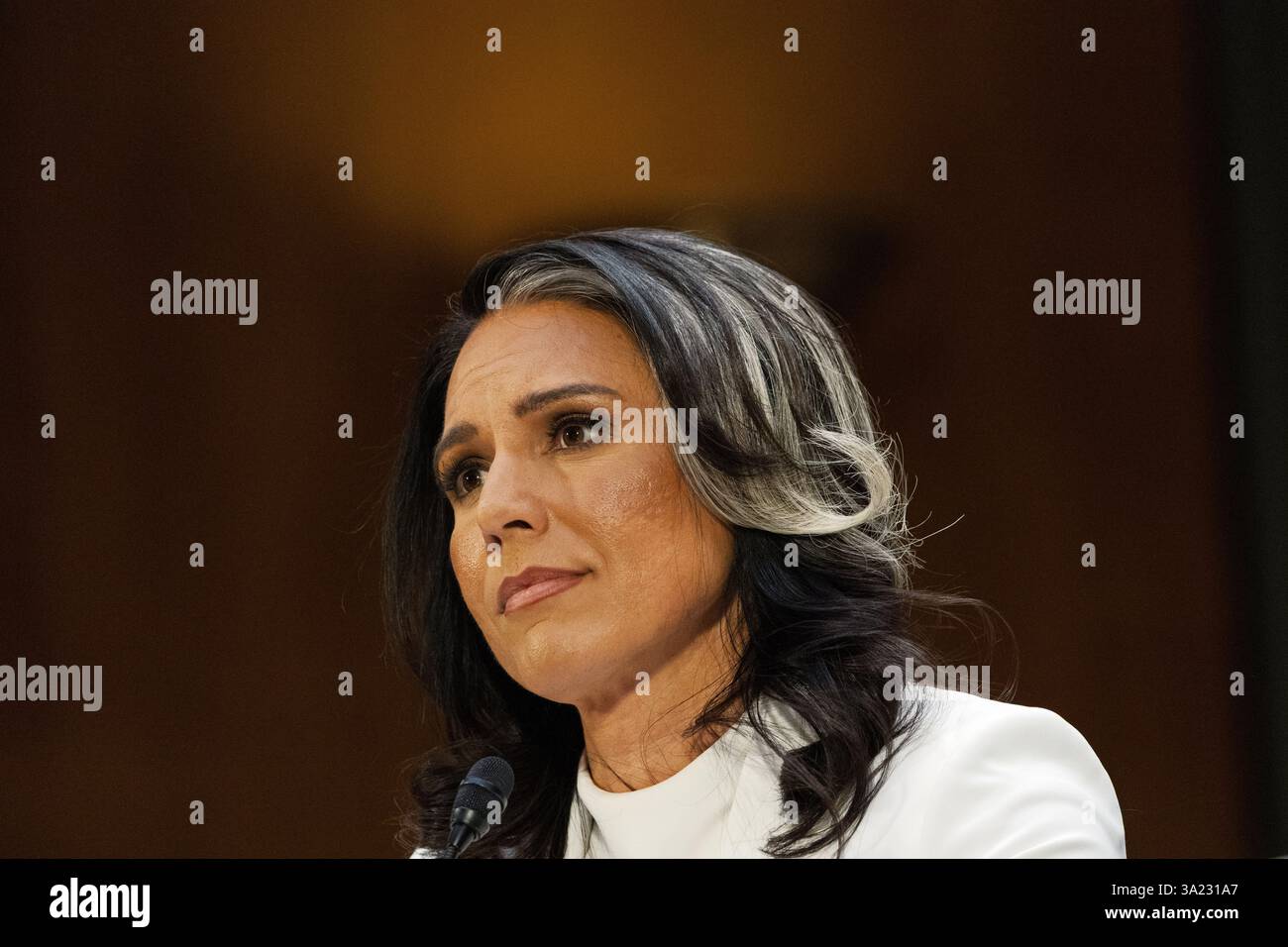 30 gennaio 2025 - Washington DC: Il comitato di intelligence del Senato tiene un'audizione per esaminare la nomina di Tulsi Gabbard a direttore della National Foto Stock