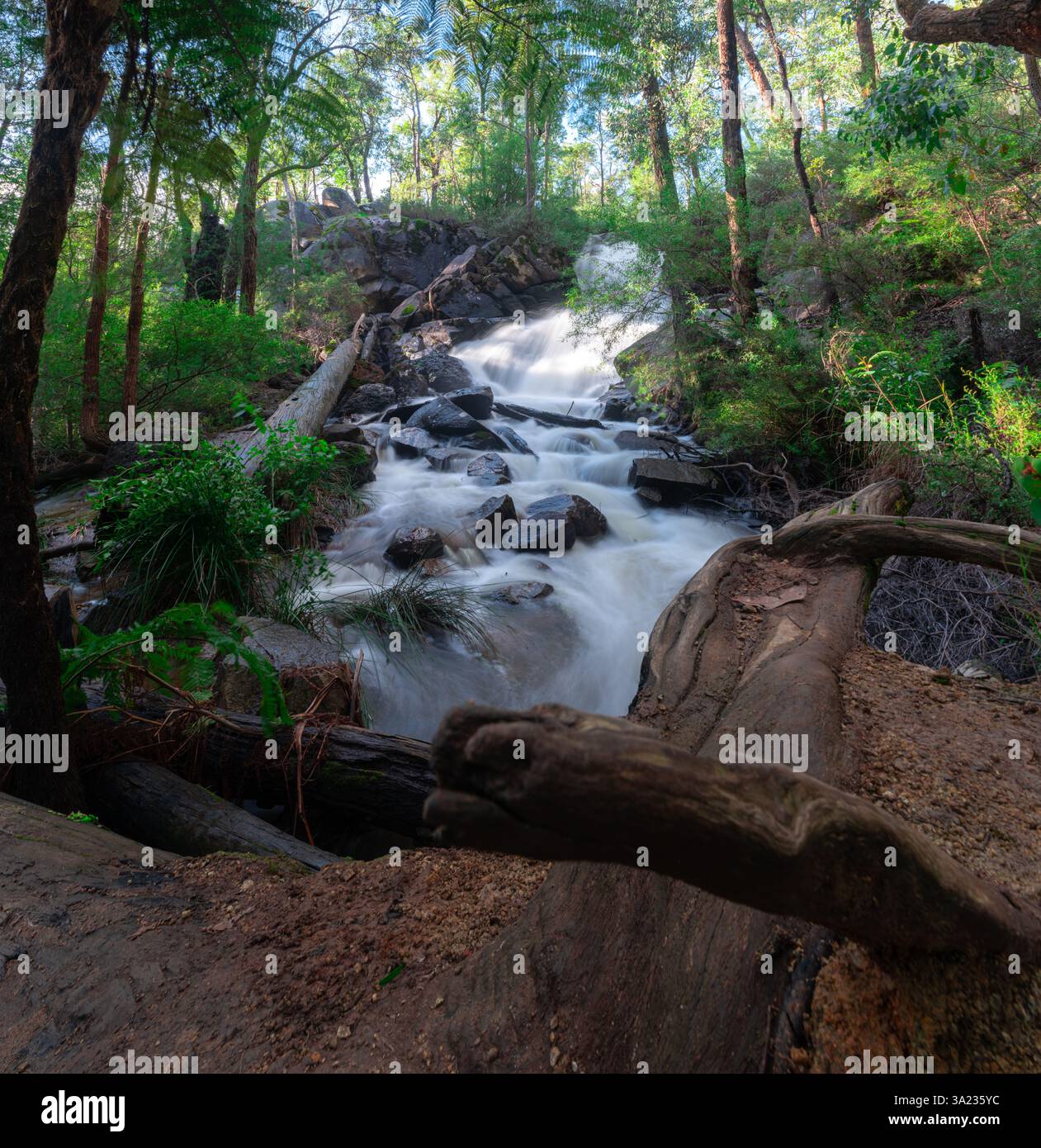La cascata nel bosco Foto Stock