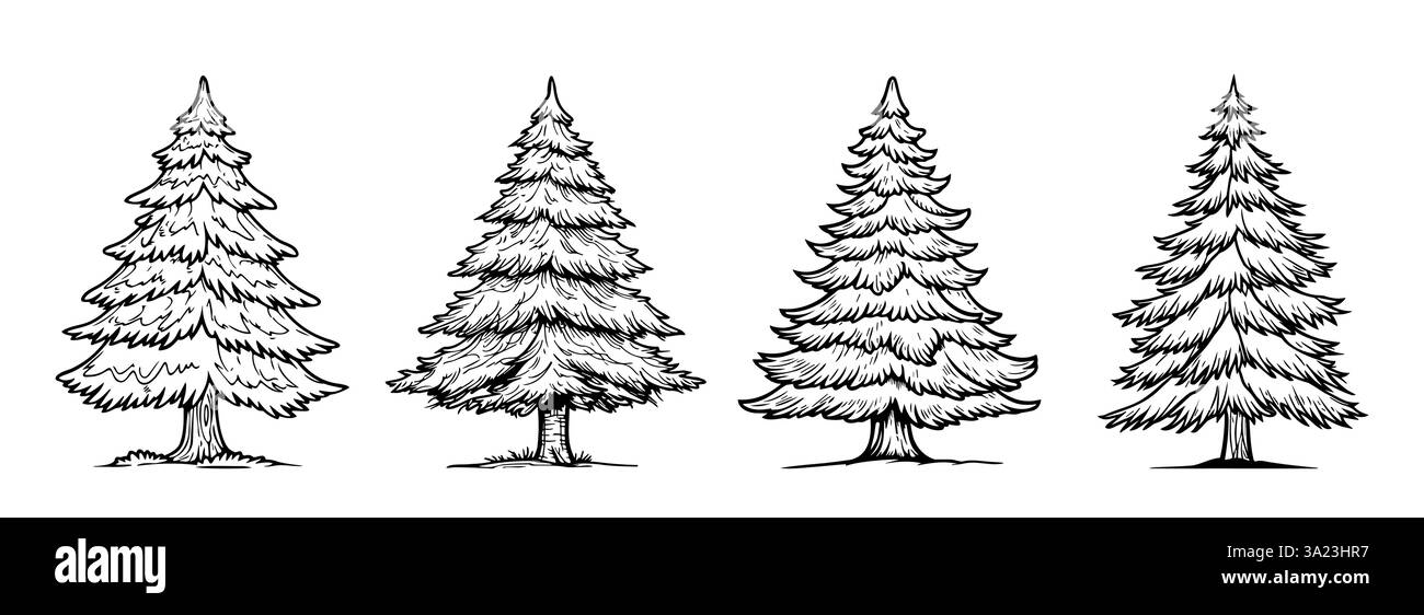 Il profilo degli alberi di pino è isolato su sfondo bianco Illustrazione Vettoriale