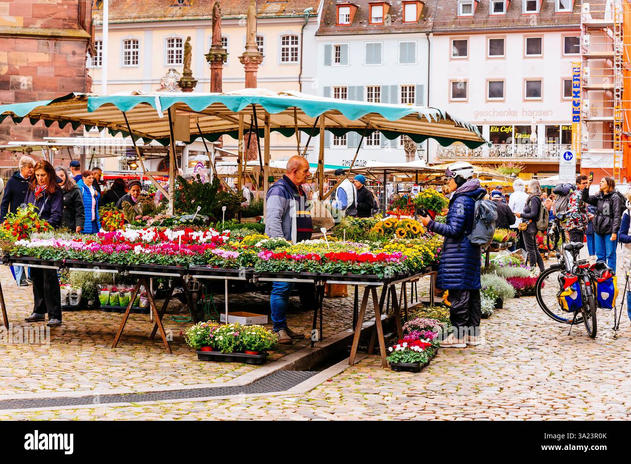 Stand di vendita di fiori nel mercato all'aperto di Minster Square. Friburgo in Brisgovia, Friburgo, Baden-Württemberg, Germania, Europa Foto Stock