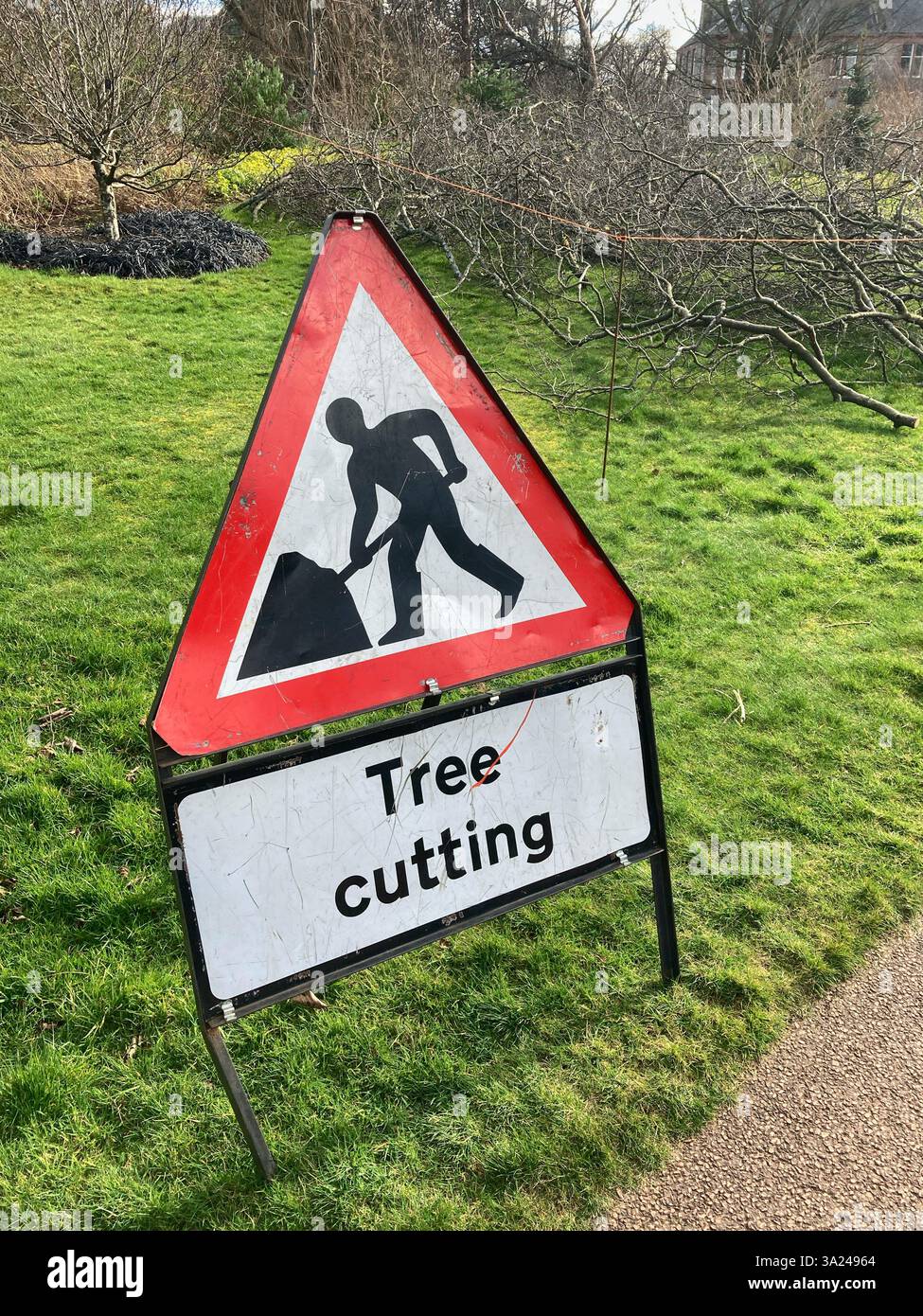 Sign Tree taglio manutenzione giardino Foto Stock