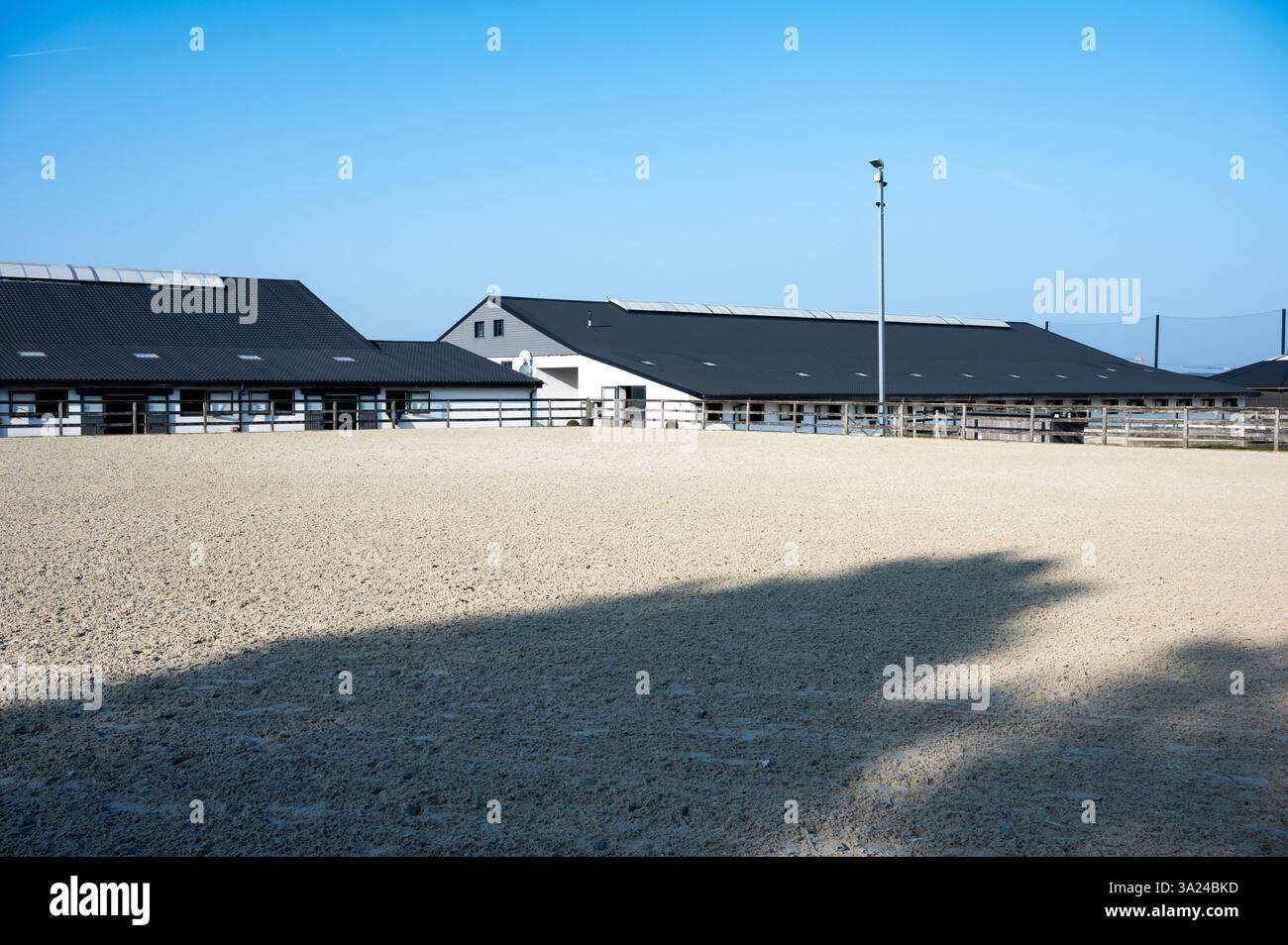 Sabbia bianca per l'addestramento dei cavalli presso le Scuderie dell'Upper East Side di Tervuren, regione del Brabante fiammingo, Belgio, 8 marzo 2025 Foto Stock