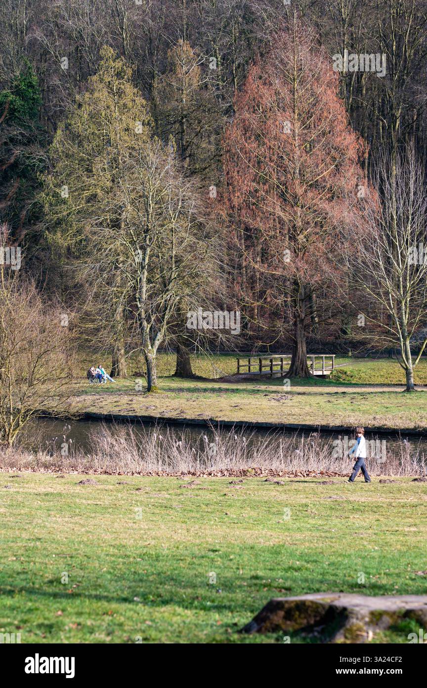 Colorati alberi primaverili e persone al sole nel parco di Tervuren, regione fiamminga del Brabante, Belgio, 8 marzo 2025 Foto Stock