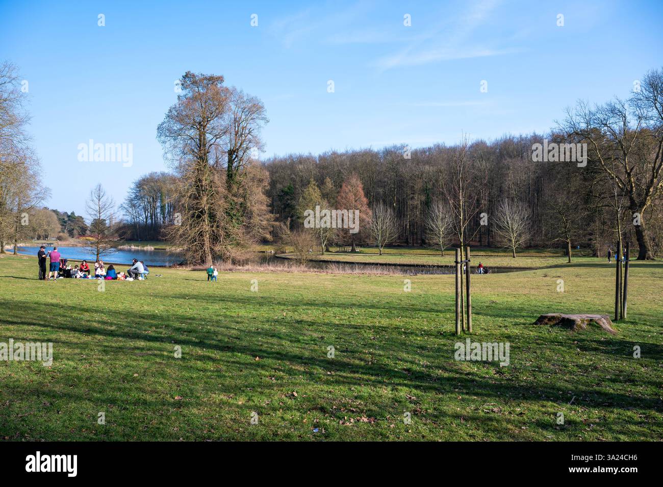 Gruppo misto di persone che camminano e fanno un picnic nel parco di Tervuren, regione del Brabante fiammingo, Belgio, 8 marzo 2025 Foto Stock