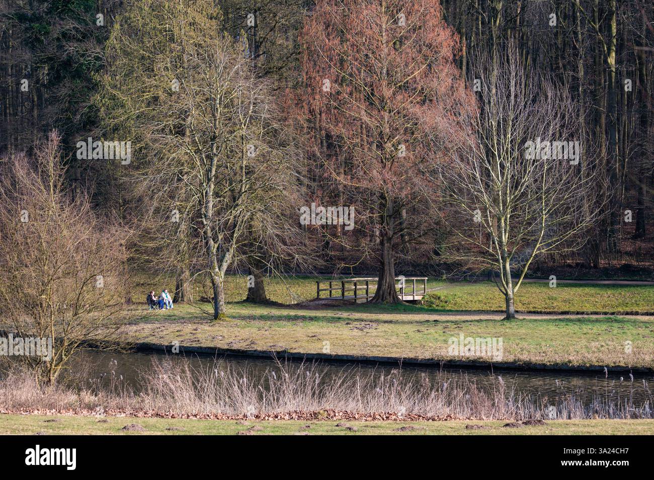 Colorati alberi primaverili e persone al sole nel parco di Tervuren, regione fiamminga del Brabante, Belgio, 8 marzo 2025 Foto Stock