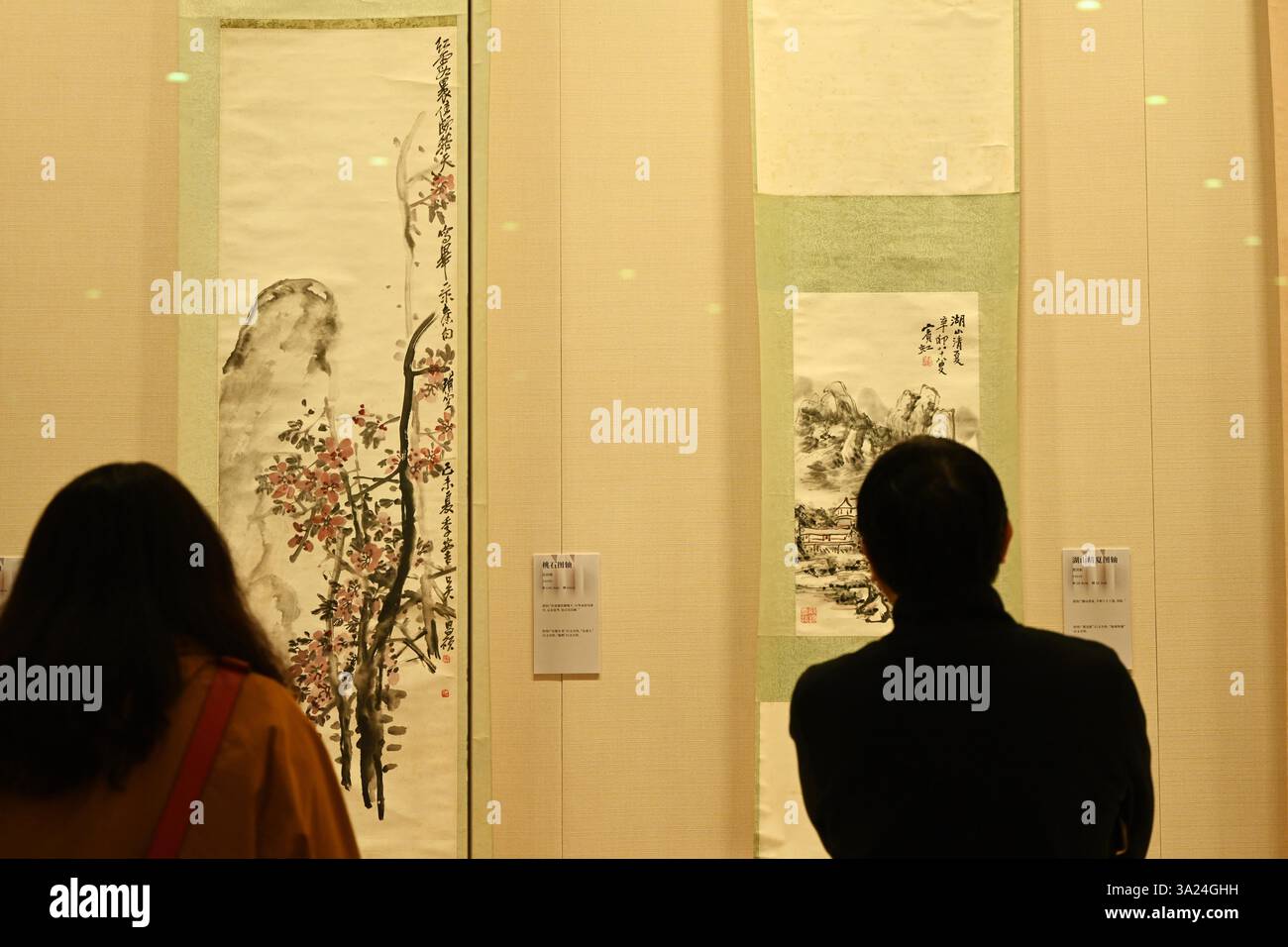 L'11 marzo 2025 i visitatori potranno ammirare una mostra di opere dei famosi pittori del XX secolo a Nanning, nella regione autonoma del Guangxi Zhuang nella Cina meridionale. Foto Stock L'11 marzo 2025 i visitatori potranno ammirare una mostra di opere dei famosi pittori del XX secolo a Nanning, nella regione autonoma del Guangxi Zhuang nella Cina meridionale. Foto Stock