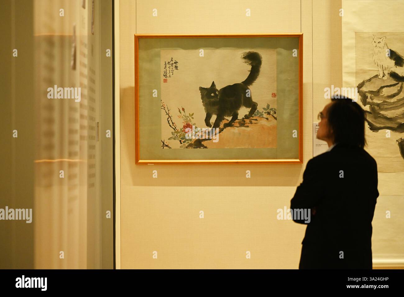 L'11 marzo 2025 i visitatori potranno ammirare una mostra di opere dei famosi pittori del XX secolo a Nanning, nella regione autonoma del Guangxi Zhuang nella Cina meridionale. Foto Stock L'11 marzo 2025 i visitatori potranno ammirare una mostra di opere dei famosi pittori del XX secolo a Nanning, nella regione autonoma del Guangxi Zhuang nella Cina meridionale. Foto Stock
