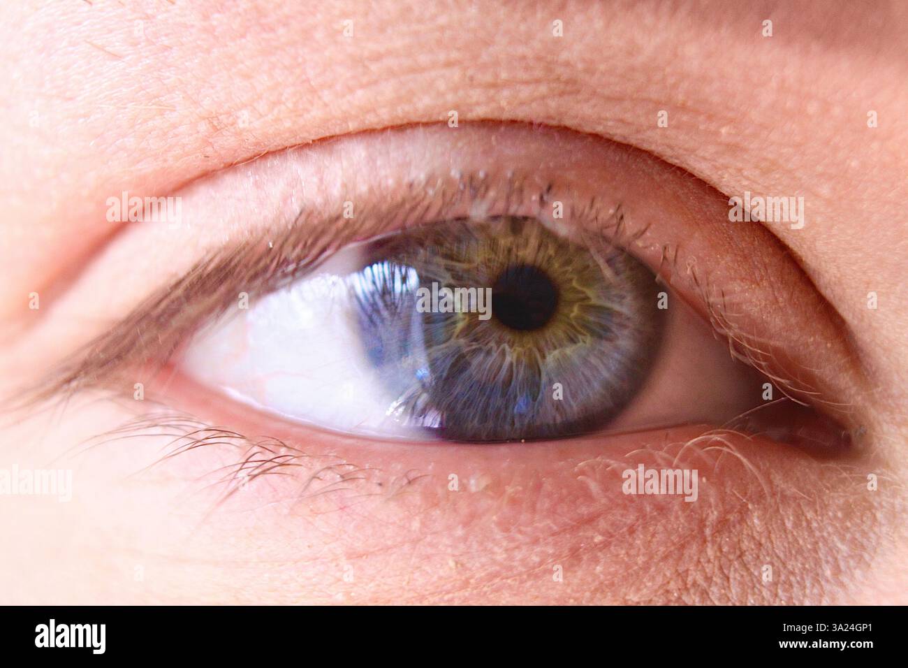 Vista macro ravvicinata di un occhio femminile Foto Stock