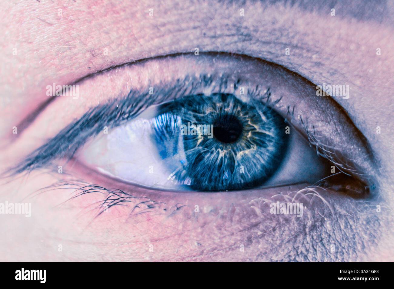 Vista macro ravvicinata di un occhio femminile Foto Stock