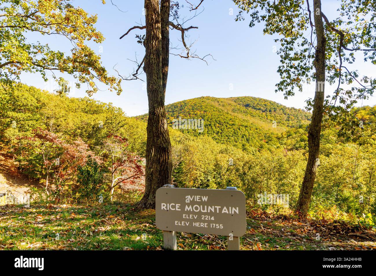 Rice Mountain Vista delle Blue Ridge Mountains dalla Blue Ridge Parkway, Virginia, Stati Uniti Foto Stock