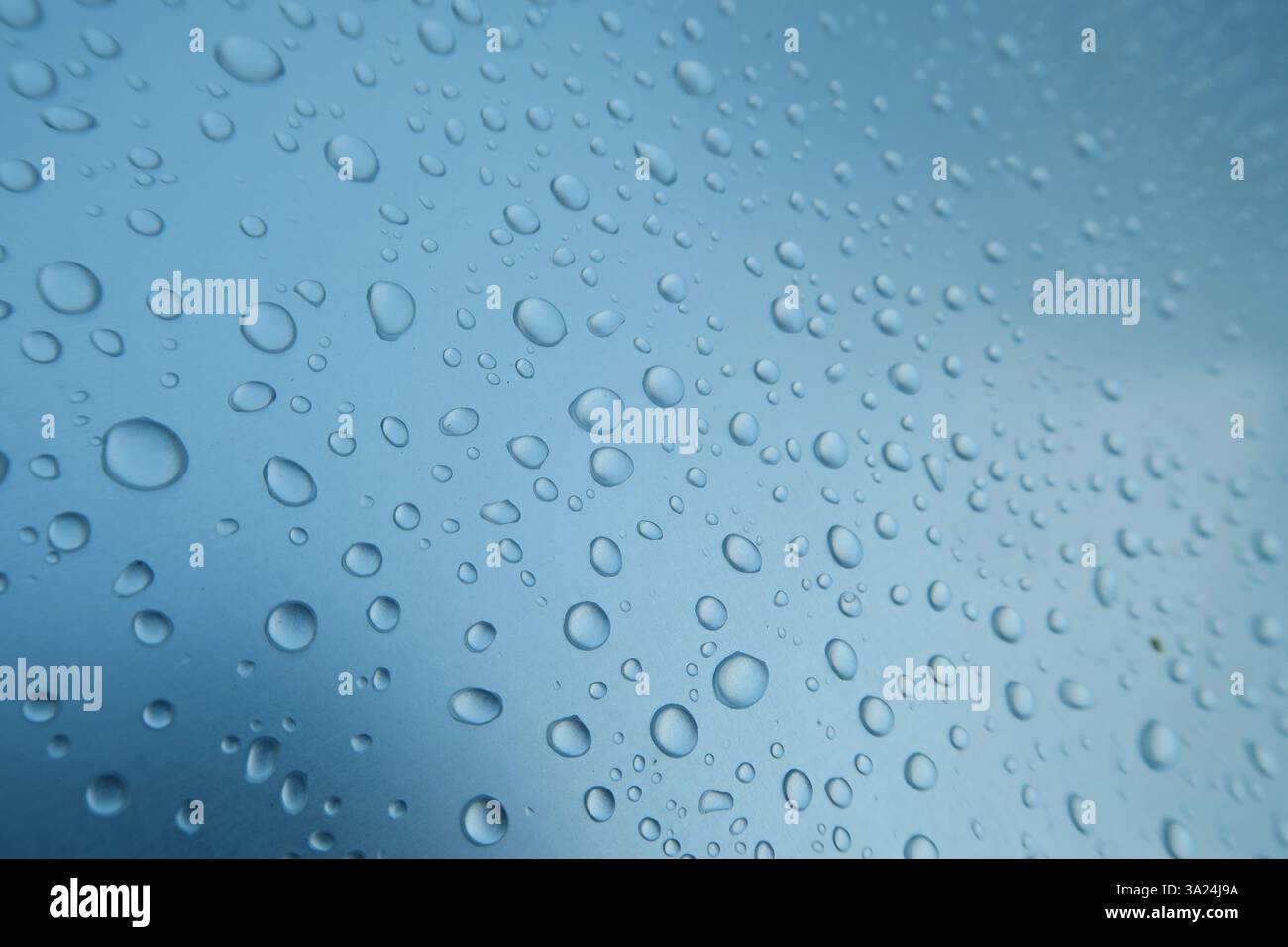 Rilascia grana Foto Stock