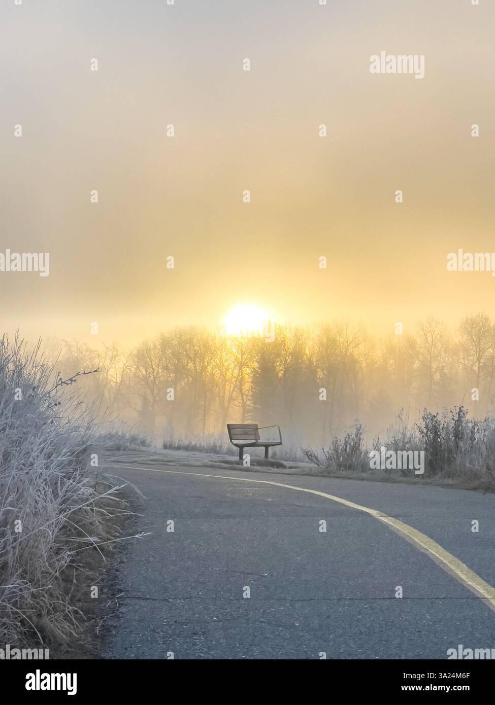 Un sentiero pavimentato con una panchina ricoperta di gelo che conduce all'alba nebbiosa. L'erba ricoperta di ghiaccio delinea il percorso, con un battistrada nebbioso sul retro Foto Stock