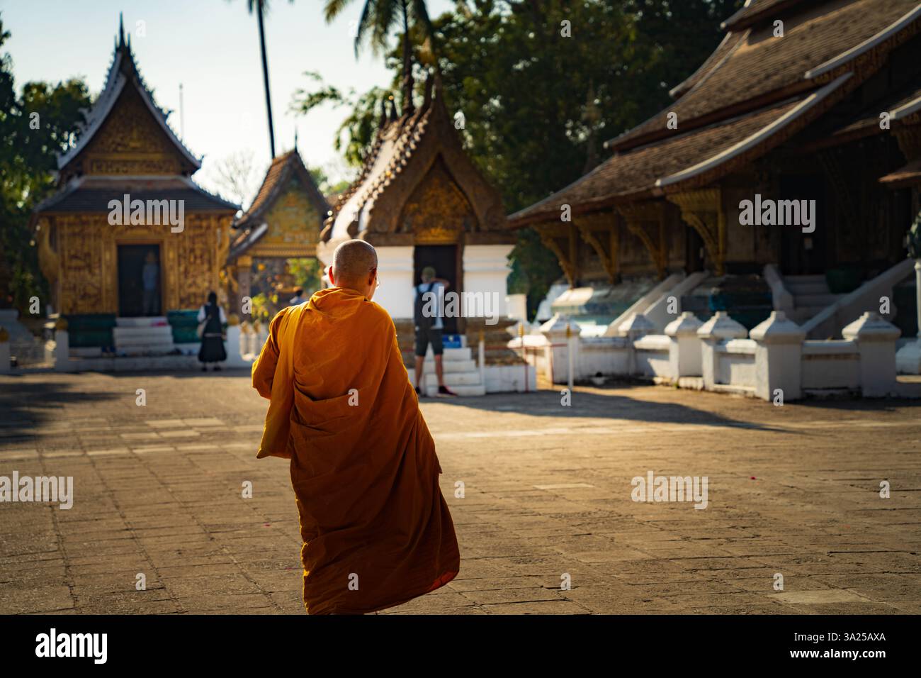 Monaco buddista nel tempio di Luang Prabang, Laos. Viaggio spirituale, architettura religiosa Foto Stock