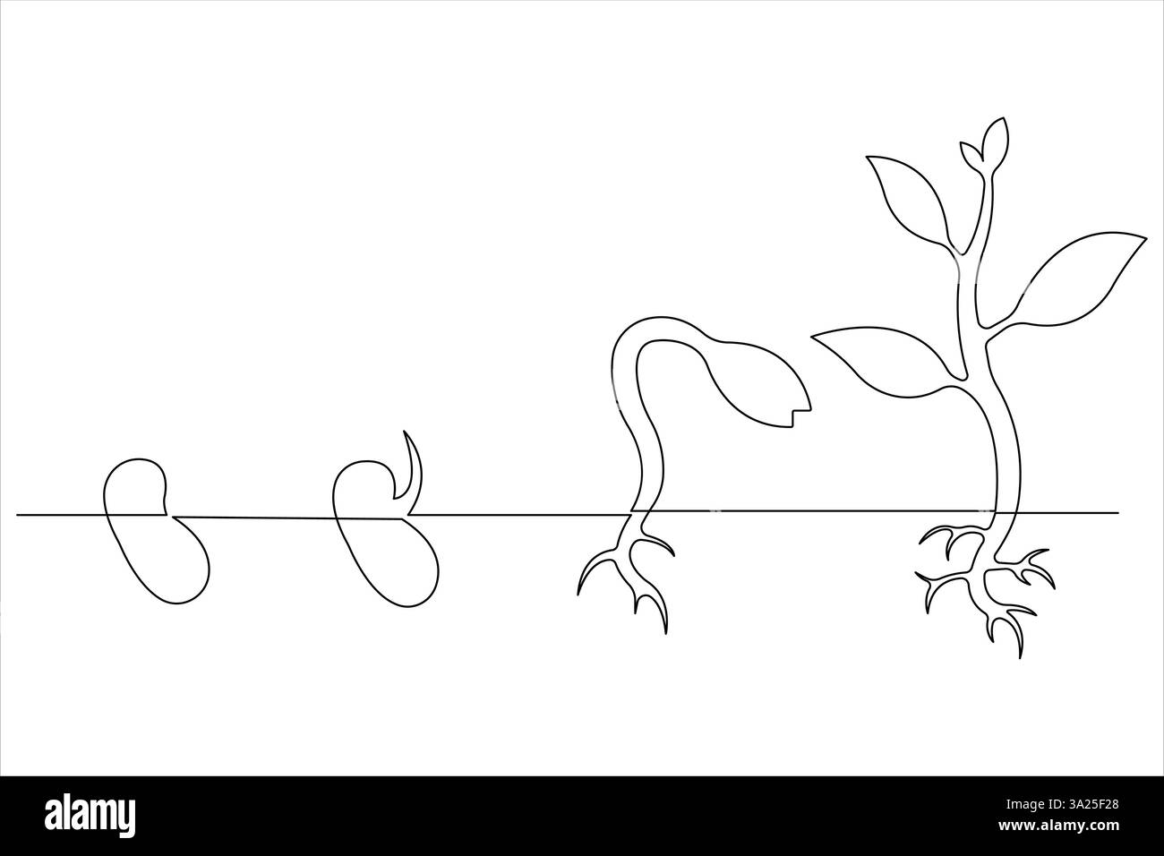 Un processo di crescita dell'impianto con una linea continua Illustrazione Vettoriale